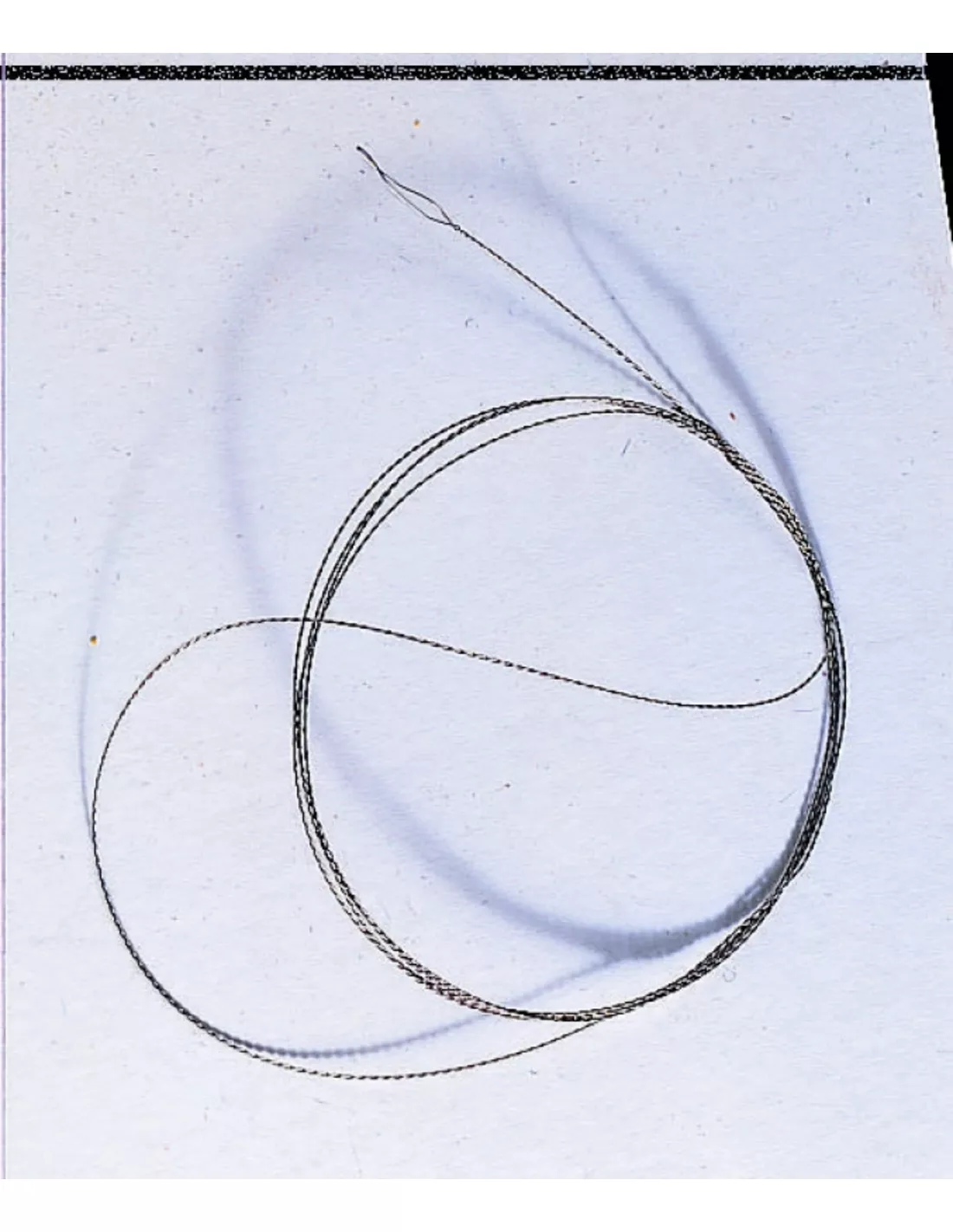 SENSAS ELASTIEK TREKKER 1 SENSAS ELASTIEK TREKKER